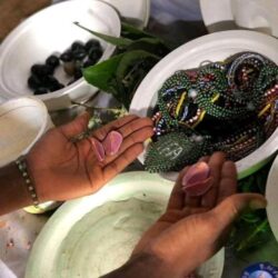 1624462706tpbkryikpl