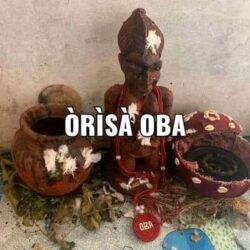 11186547-a5d8-421d-b6ad-98c01c1920df